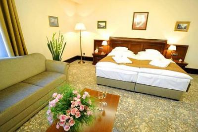 5* Andrássy Kúria Tarcal akciós tágas hotelszobája - ✔️ Andrássy Kúria Tarcal ✔️ Akciós Kúria spa wellness Tarcal