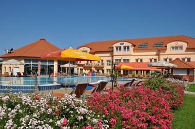 Megfizethető wellness hotel Cserkeszőlőn az Aqua-Spa Wellness Hotelben - ✔️ Aqua Spa Hotel**** Cserkeszőlő - Akciós wellness csomagajánlatok félpanzióval Cserkeszőlőn