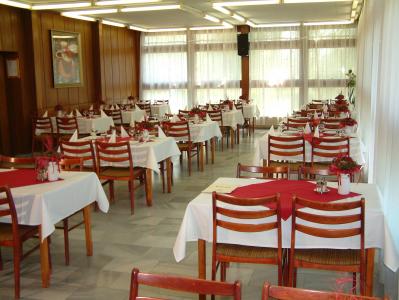Szálloda a Velencei tónál - Szálloda étterme - Gárdony - Piramis Hotel Gárdony - Akciós szállás a Velencei tó partján Gárdonyban